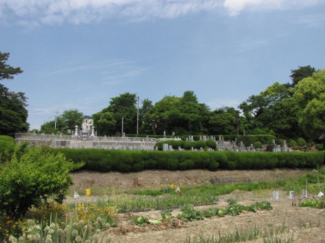 画像32